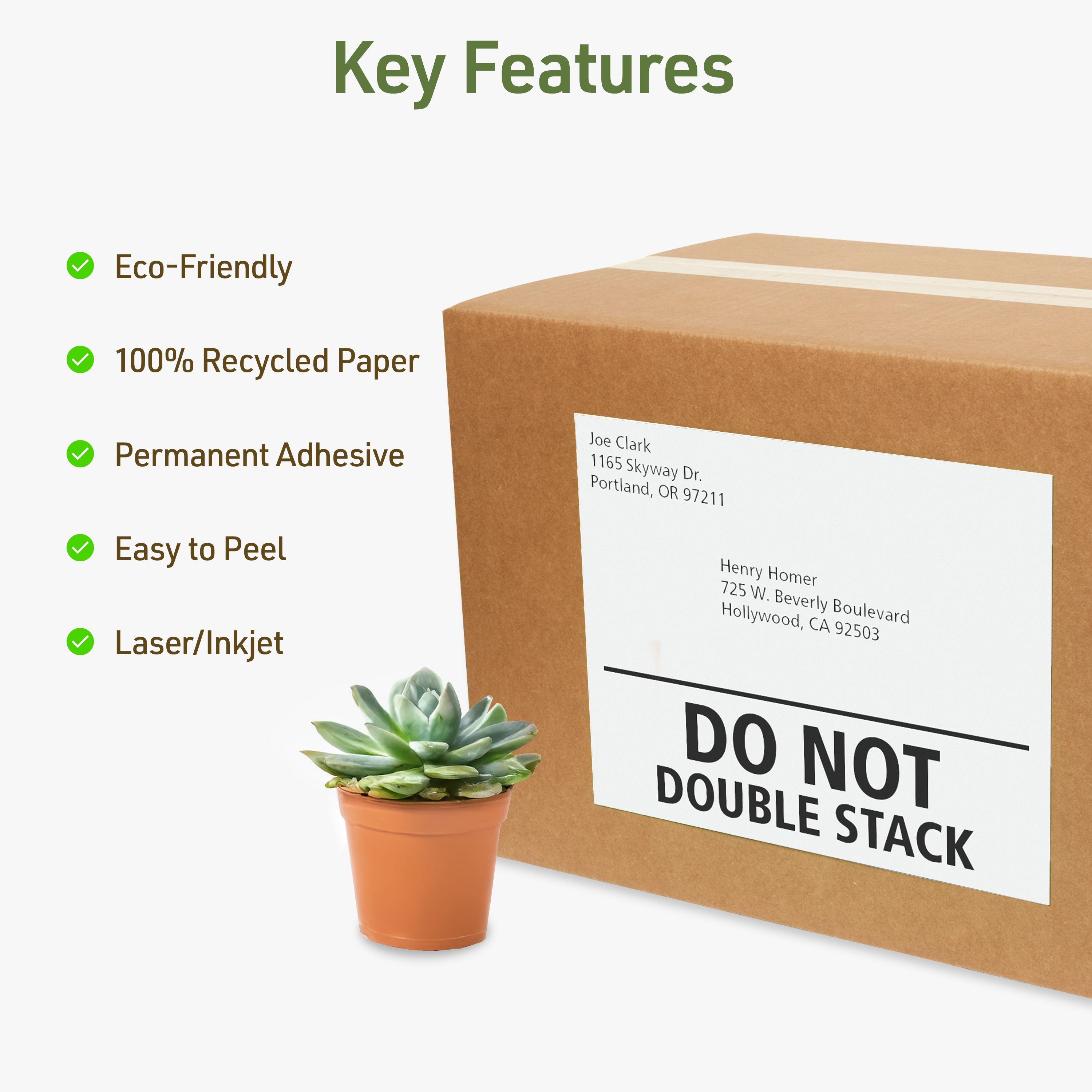 EcoFriendly Shipping Labels, 8-1/2